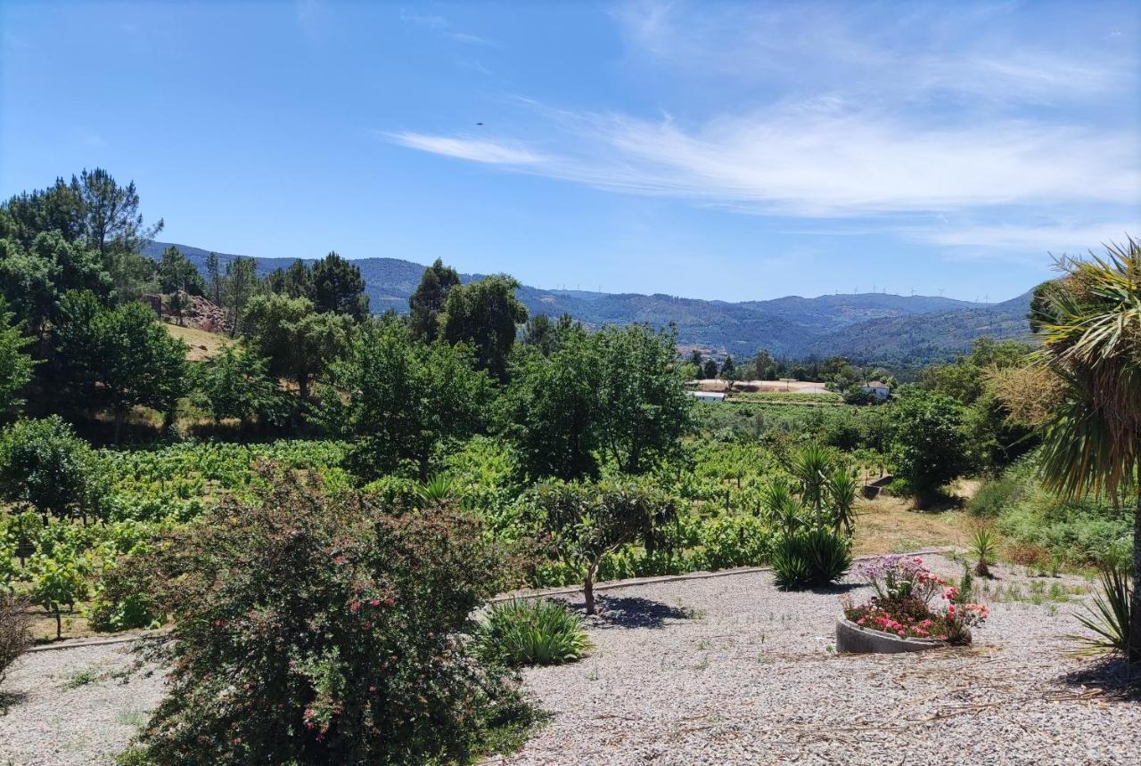 Quinta Da Paixao - Bed & Breakfast Pedraca Экстерьер фото