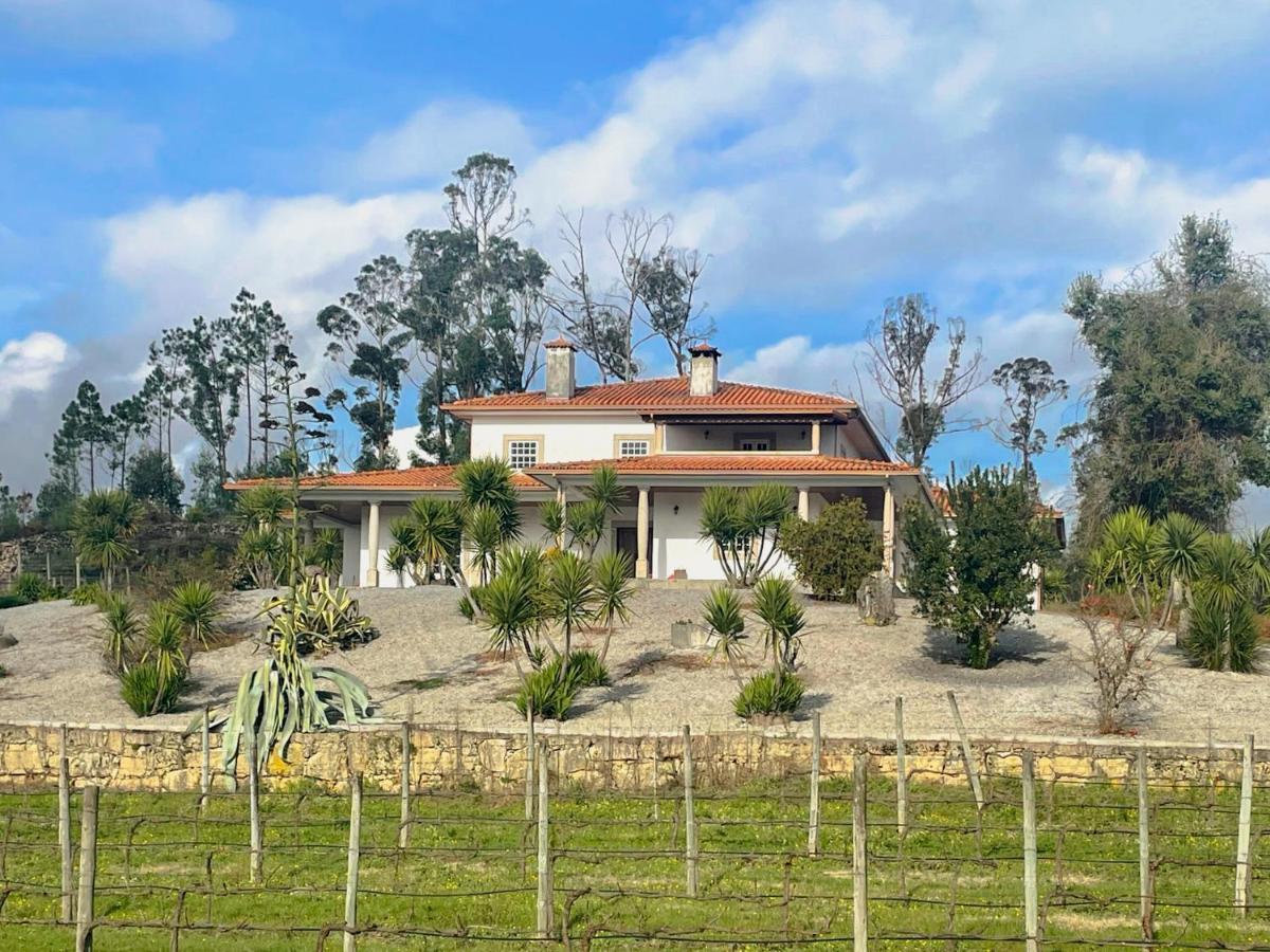 Quinta Da Paixao - Bed & Breakfast Pedraca Экстерьер фото